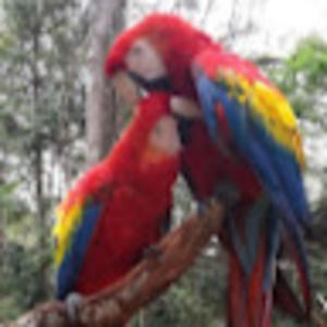 Meet your Posher, Gabriela